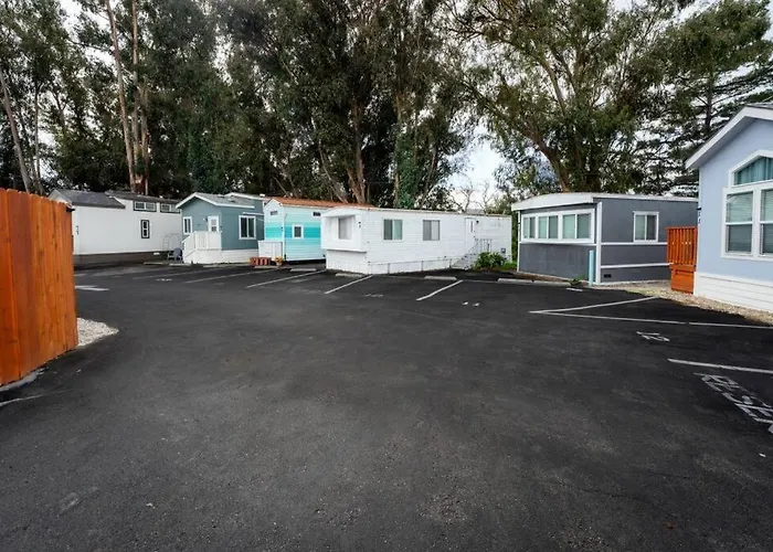 Modern 2-Bedroom Eucalyptus House